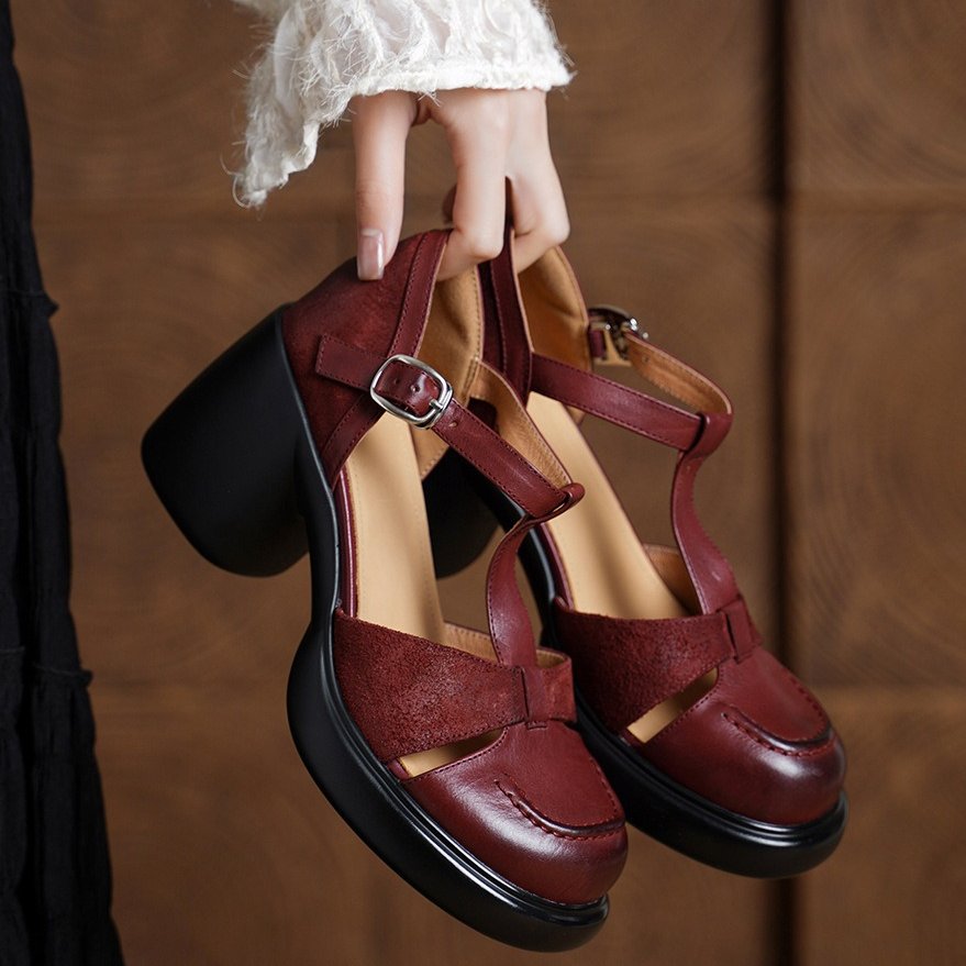 Women's Vintage Block Heel Pumps Classic T-Strap Mary Jane Shoes
