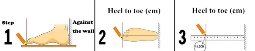 Three-step foot measurement guide: place heel against wall, mark longest toe, measure heel to toe in centimeters
